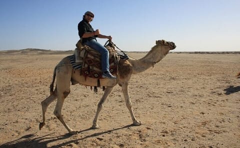 Camel Riding Adventure in Hurghada's Desert Landscapes