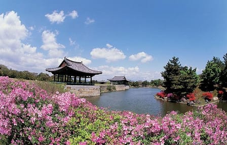 4Day Private Tour from Busan to Seoul, Gyeongju, Tongyeong, Oedo-Botania Island