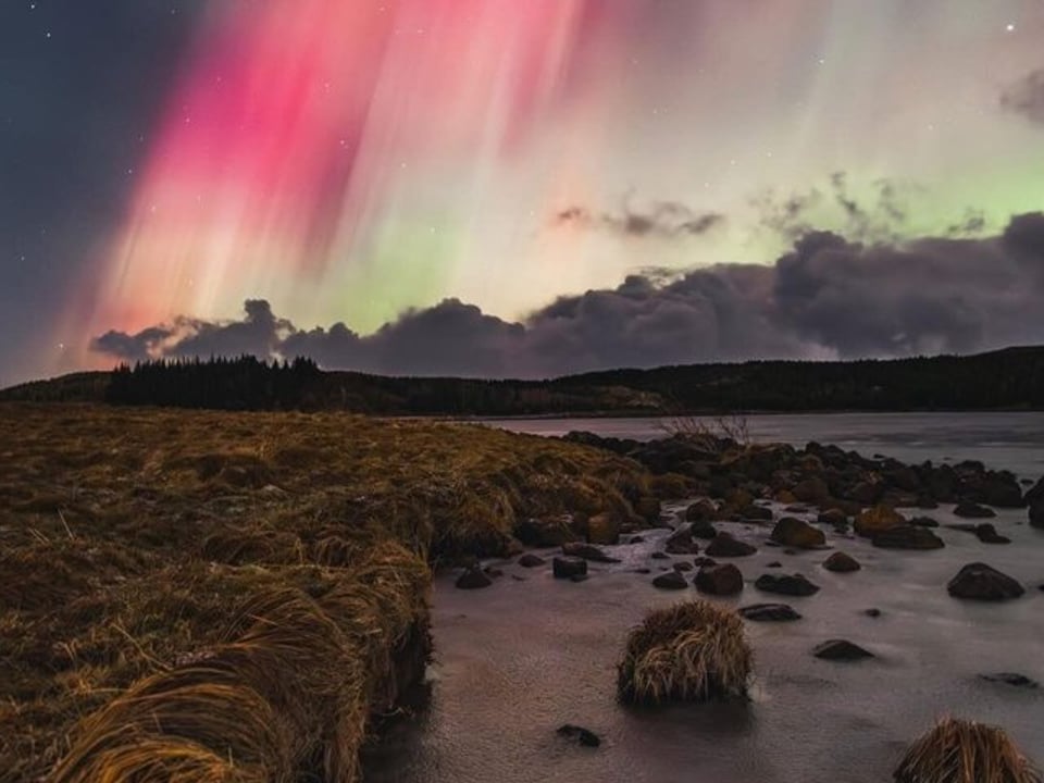 Northern Lights Dark-Sky Chase - Small Private Tour with Photo Help — Iceland Nature Tours