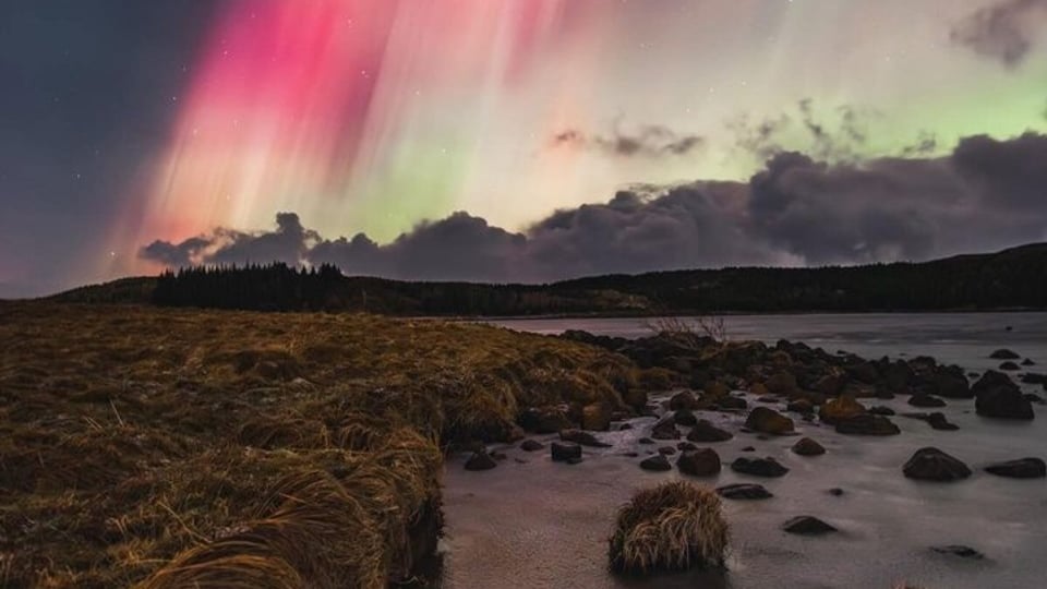 Private northern lights tour: price and is it worth it