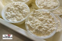 Freshly made ricotta cheese