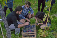 Wine tasting in Valpolicella Classica: the cradle of Amarone 8