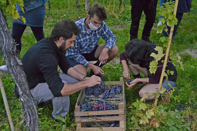 Wine tasting in Valpolicella Classica: the cradle of Amarone 8
