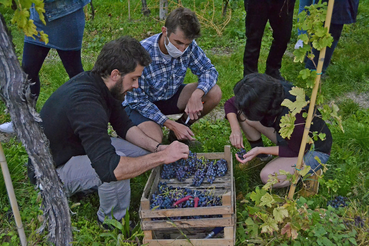 Wine tasting in Valpolicella Classica: the cradle of Amarone 8