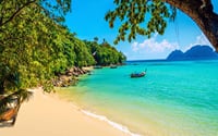 PHUKET: Phi Phi-Maya-Khai Island by Speed boat with Lunch (INCL National park fee) 8