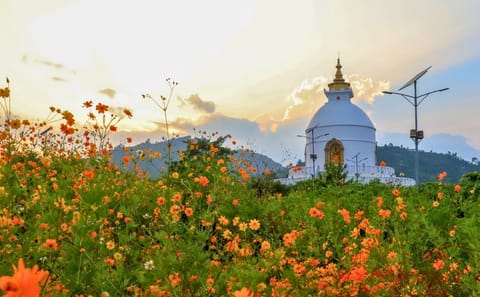 Premium 3-Day Luxury Tour of Pokhara with Scenic Views