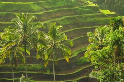 Bali Sightseeing
