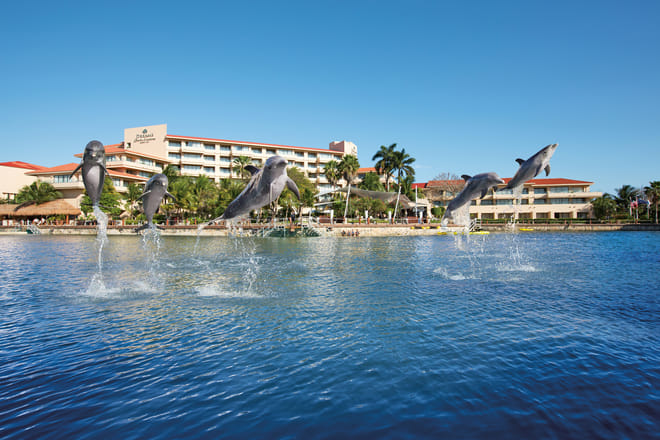 Dreams Puerto Aventuras: Dolphin Encounter  8