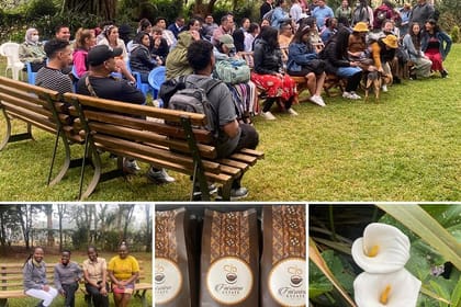 Fairview Estate Coffee Farm Tour With Pick up