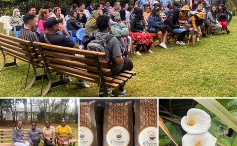 Fairview Estate Coffee Farm Tour with Pickup in Nairobi