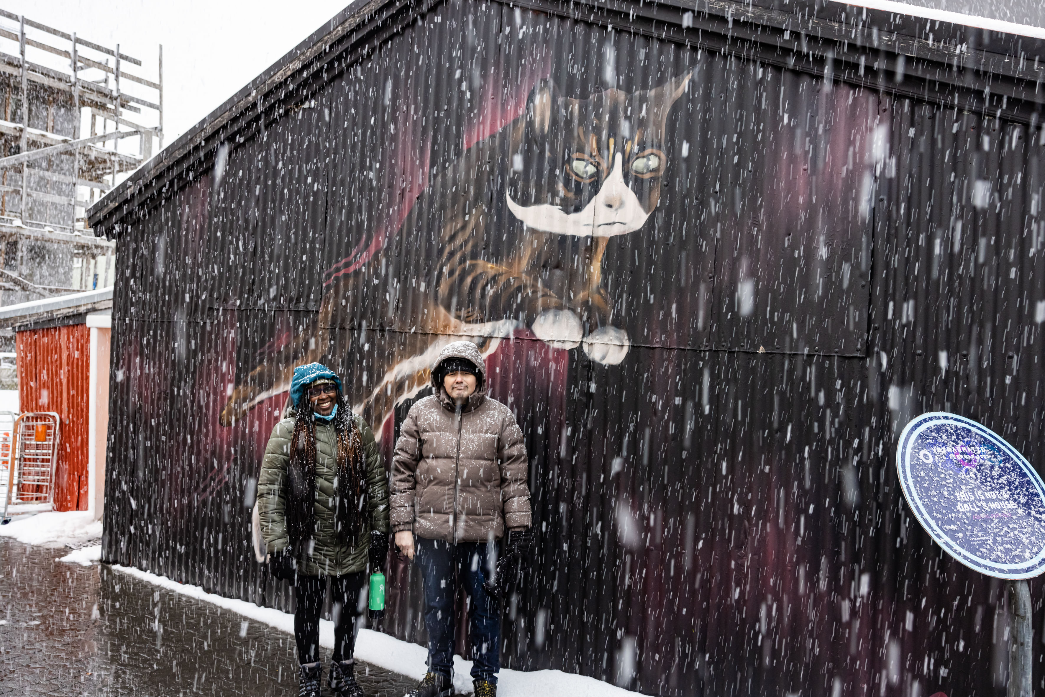 An art piece depicting a jumping cat.