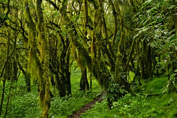 Private 3-Day Mount Meru Trek in Arusha National Park