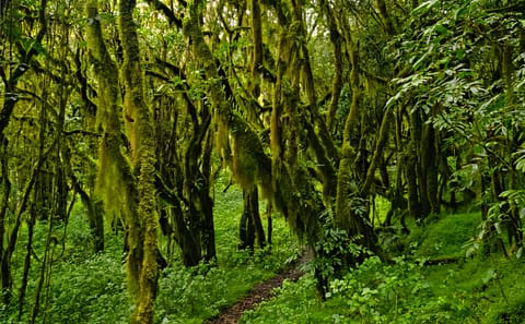 Private 3-Day Mount Meru Trek in Arusha National Park