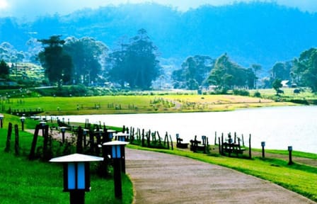 Nuwara Eliya Day Tour: Nature and Adventure from Kandy