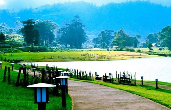 Nuwara Eliya Day Tour from Kandy