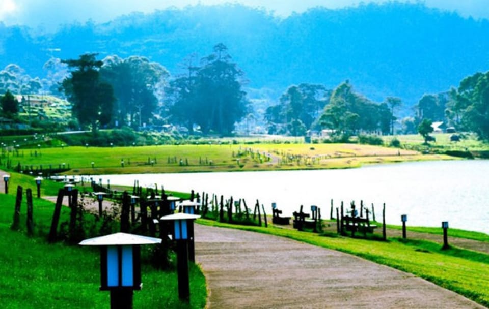 Nuwara Eliya Day Tour: Nature and Adventure from Kandy