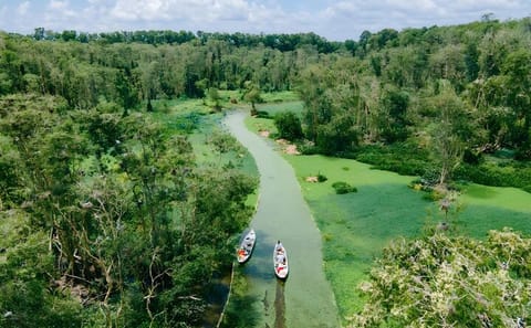 Mekong Delta 3-Day Tour with Boat Trip to Phnom Penh Option
