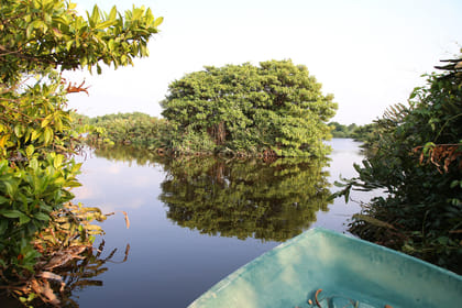 Muthurajawela Sanctuary Boat Safari with Bird Watching