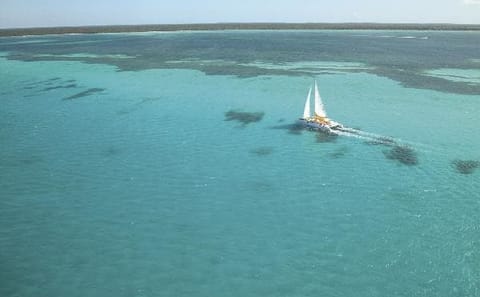 Saona Island Catamaran Tour from Bayahibe beach