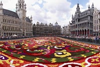 Private tour : Best of Brussels half day From Brussels 4