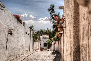 Arequipa Colonial City, Recoleta Convent and Casa del Moral Private Tour