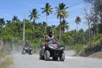 ATV 4 wheel off Road from Amber Cove & Taino bay port silver 9