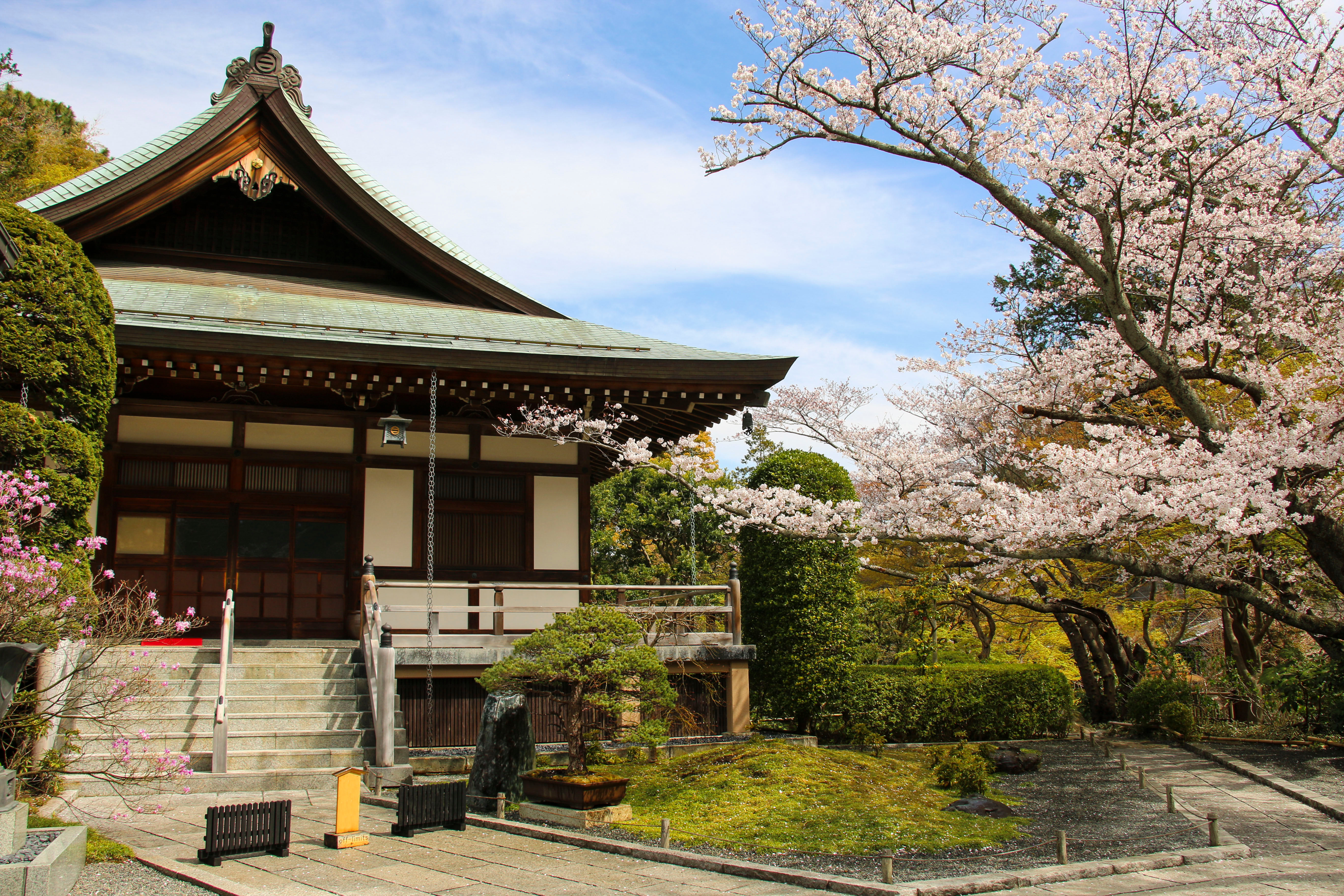 Kamakura Custom Day Tour