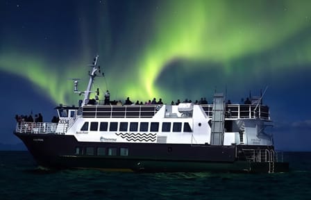 Culinary Tour and Northern Lights Cruise in Reykjavík