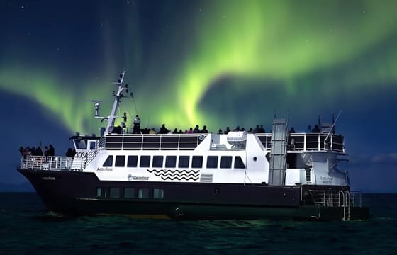 Taste of Reykjavik & Northern Lights Voyage