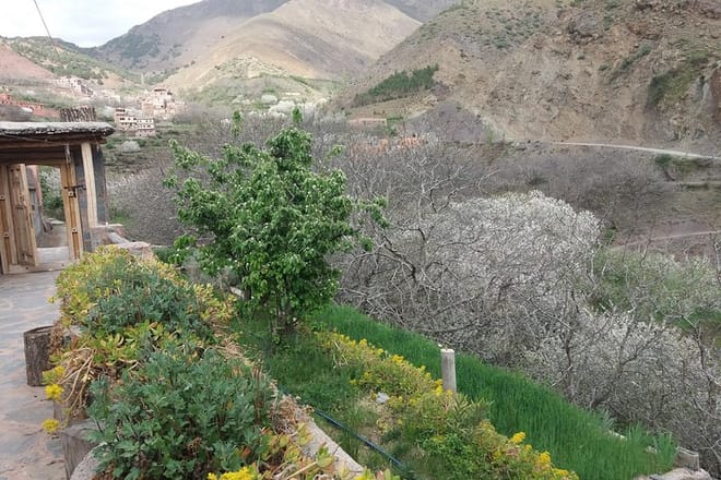 Marrakech To Atlas Mounatains Morocco 1 Day 4