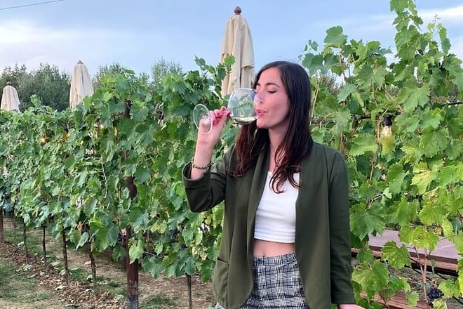 Private Tour Of Chianti with Wine Tastings