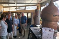 3 Hour Wine and Raki with Olive Oil Tasting in Heraklion  2