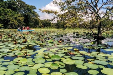 Pidurangala & Hiriwaduna Village Tour From Colombo