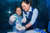Kidzania- Dubai Mall - Admission ticket  4