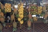 Private Food Culture Tour in Stone Town  9