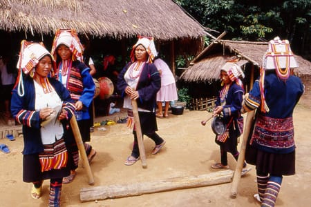 Doi Mae Salong & Akha Hilltribe Village Tour