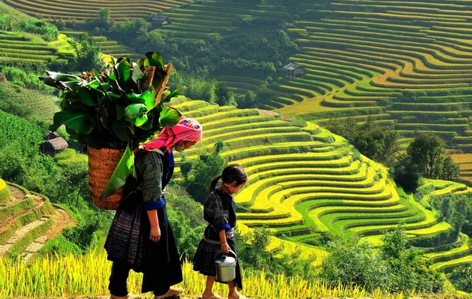 Hanoi Sapa 3 Days Trekking Tour by Cabin Bus, Hotel & Homestay