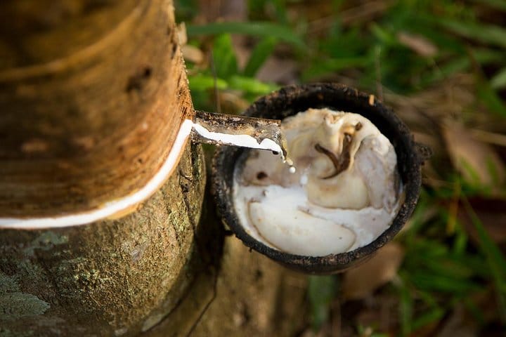 Koh Yao Native Touch & Local Tours