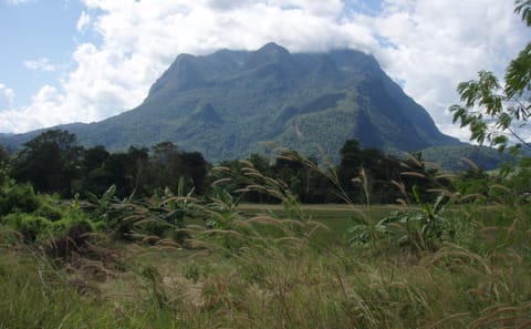 Full-Day Mountain Bike Tour in Chiang Dao, Chiang Mai