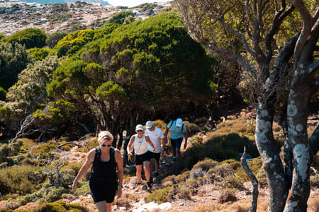 Ikaria: Hike Randi's Forest, Seychelles by Boat & Lunch