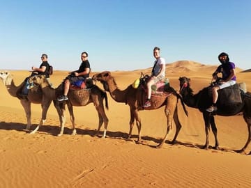 #Camel #trek