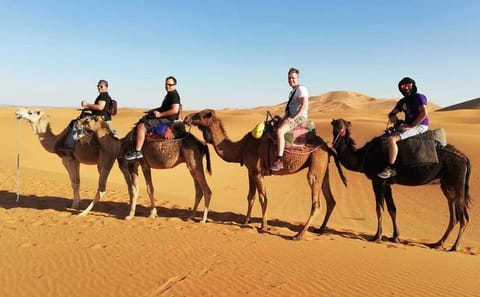 Three-Day ATV Tour from Fes to Marrakech through the Desert