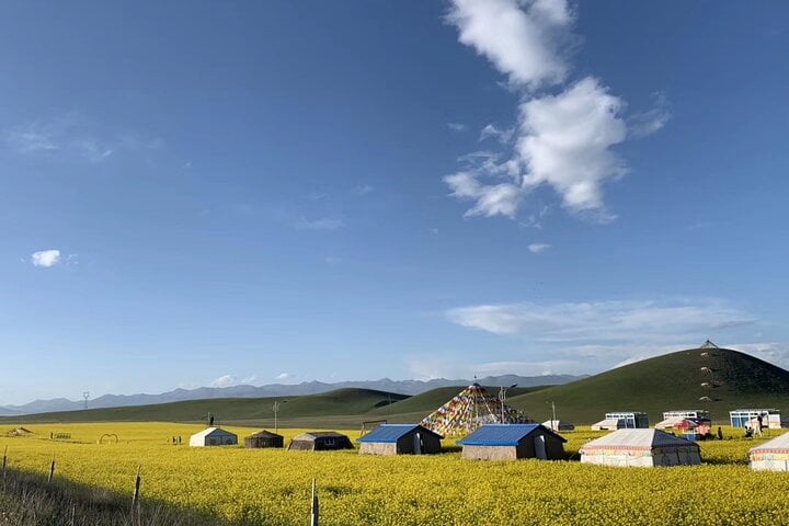 Private Day Tour to Qinghai Lake and Chaka Salt Lake from Xining 8