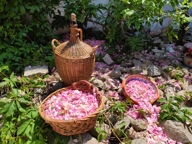 Self-Guided Tour for "Kulata" with Liqueur & Rose Jam Tasting 6
