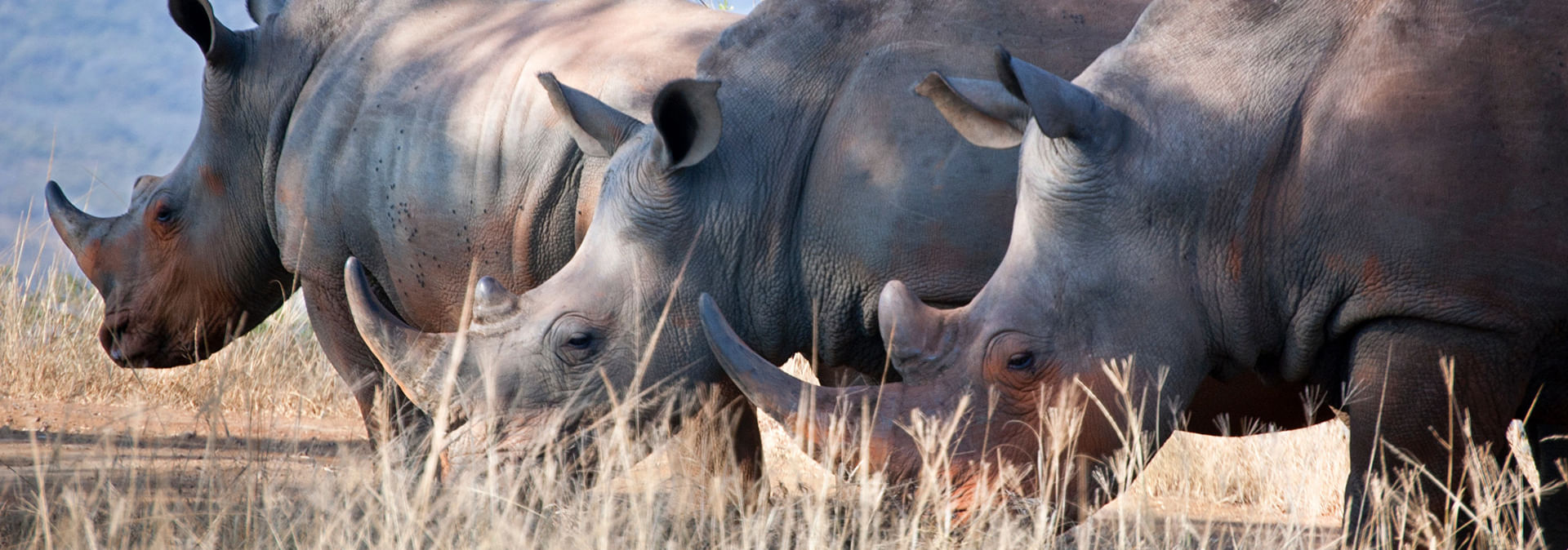 Scenic views of the Hluhluwe-iMfolozi Park wilderness