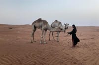 Private Day Trip to Grand Mosque & Wahiba Sands  6