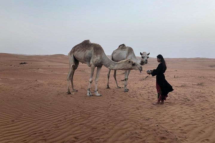 Private Day Trip to Grand Mosque & Wahiba Sands  6