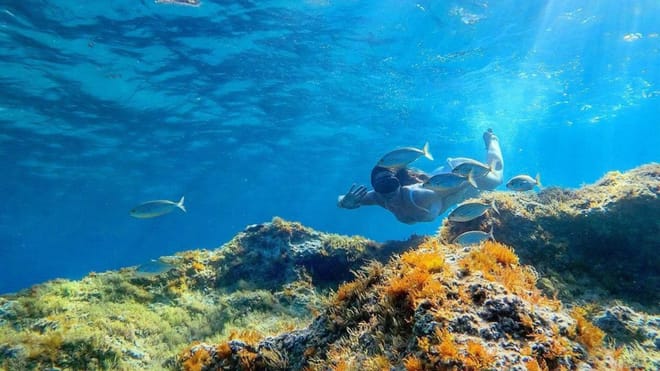 Cala Gonone Sardinia: snorkeling in the Orosei Gulf