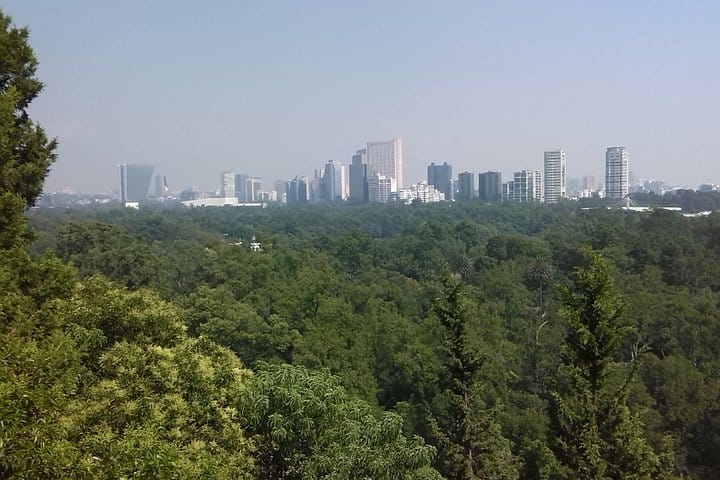 Private Tour Museum of Anthropology and Chapultepec Castle.