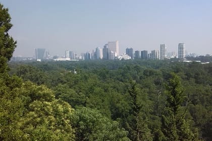 Private Tour Museum of Anthropology and Chapultepec Castle.
